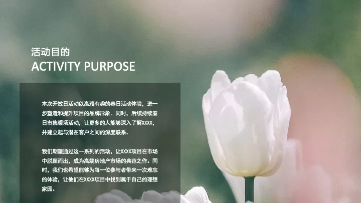 地产项目春韵雅集暨售楼处开放（邂逅春日里的理想家主题）活动策划方案