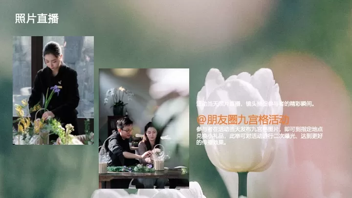 地产项目春韵雅集暨售楼处开放（邂逅春日里的理想家主题）活动策划方案