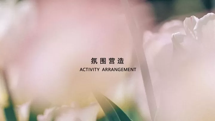 地产项目春韵雅集暨售楼处开放（邂逅春日里的理想家主题）活动策划方案