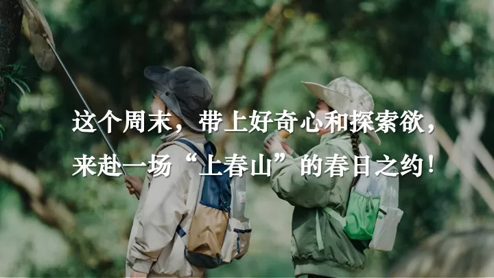 春日山野亲子研学（春天就要上春山主题）活动策划方案