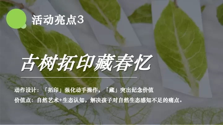 春日山野亲子研学（春天就要上春山主题）活动策划方案