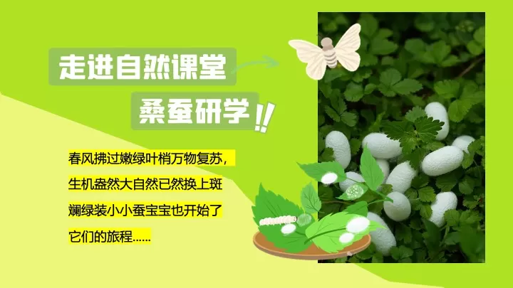 文旅景区春日桑蚕研学（蚕宝探秘·丝路启蒙主题）活动策划方案