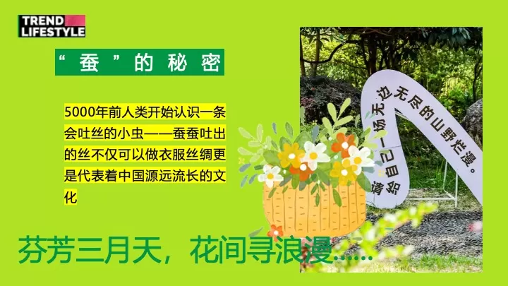 文旅景区春日桑蚕研学（蚕宝探秘·丝路启蒙主题）活动策划方案