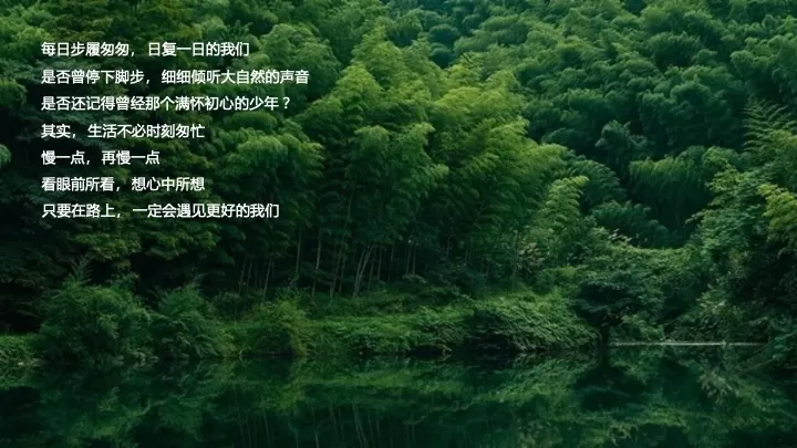 企业春季户外徒步团建拓展（聚力同行·FUN肆开躁主题）活动策划方案