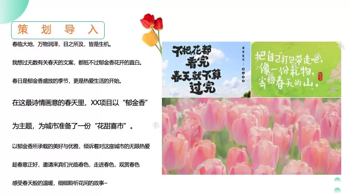 地产项目春季郁金香主题游园会（花甜喜事·见花则喜主题）活动策划方案