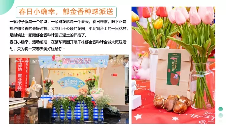 地产项目春季郁金香主题游园会（花甜喜事·见花则喜主题）活动策划方案