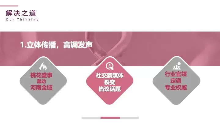 文旅景区第十届桃花节开幕式活动策划方案