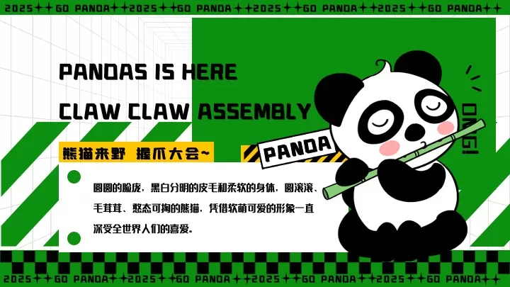 商业广场六一熊猫嘉年华（熊猫来野·握爪派对主题）活动策划方案