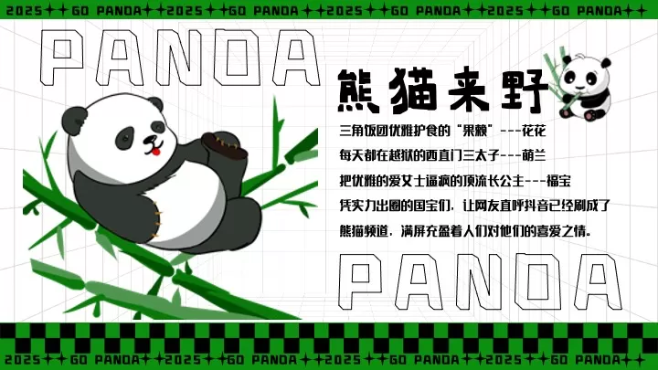 商业广场六一熊猫嘉年华（熊猫来野·握爪派对主题）活动策划方案