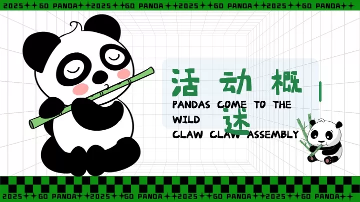 商业广场六一熊猫嘉年华（熊猫来野·握爪派对主题）活动策划方案