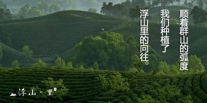 南方城市-乡镇文旅项目浮山·里改造建设规划方案