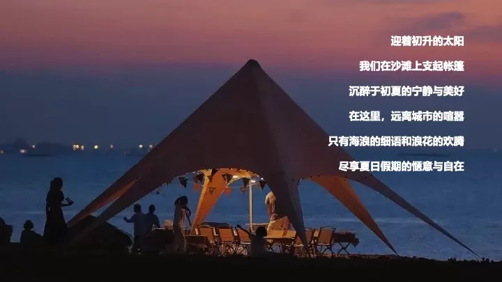 海浪上的露营音乐节（音浪之夏主题）活动策划方案