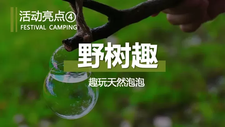 文旅项目端午节户外亲子露营（端午粽叶香·露营好时光主题）活动策划方案