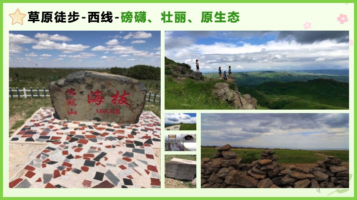 企业公司夏日草原团建（撒欢趣野主题）活动策划方案