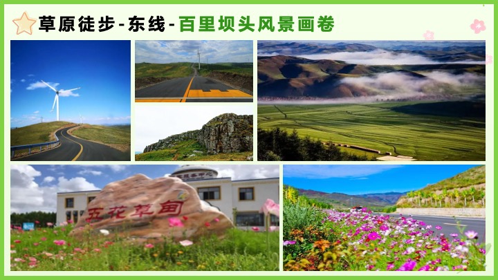 企业公司夏日草原团建（撒欢趣野主题）活动策划方案