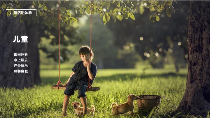 文旅景区夏日生活节（夏半闲趣·悠然花海节主题）活动策划方案