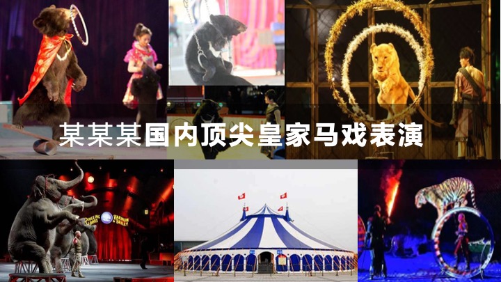 文旅景区夏日生活节（夏半闲趣·悠然花海节主题）活动策划方案