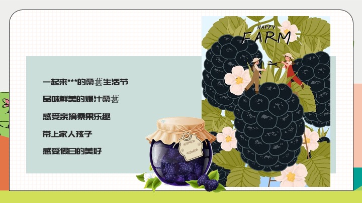 户外农田桑葚采摘美好生活节（与桑相遇·葚是欢喜主题）活动策划方案