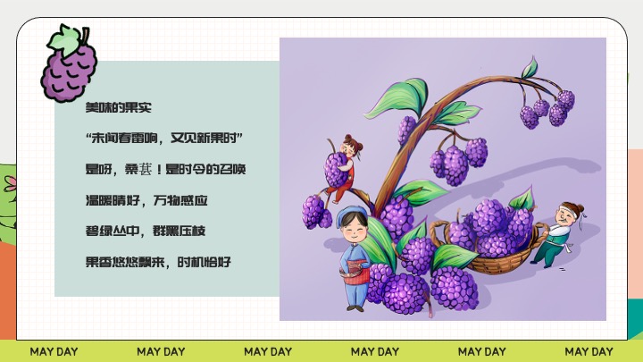 户外农田桑葚采摘美好生活节（与桑相遇·葚是欢喜主题）活动策划方案