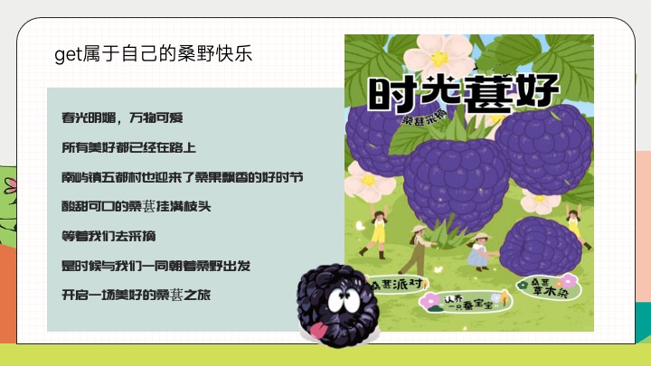 户外农田桑葚采摘美好生活节（与桑相遇·葚是欢喜主题）活动策划方案