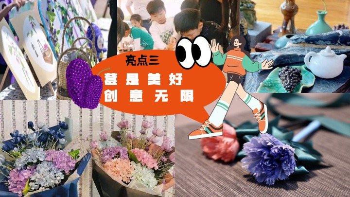 户外农田桑葚采摘美好生活节（与桑相遇·葚是欢喜主题）活动策划方案