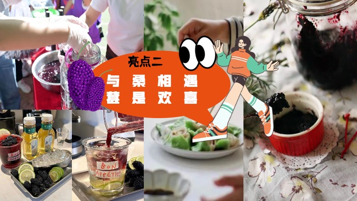 户外农田桑葚采摘美好生活节（与桑相遇·葚是欢喜主题）活动策划方案