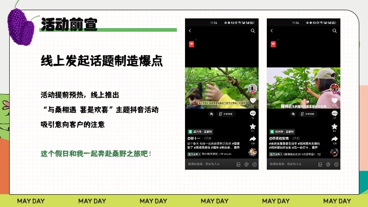 户外农田桑葚采摘美好生活节（与桑相遇·葚是欢喜主题）活动策划方案