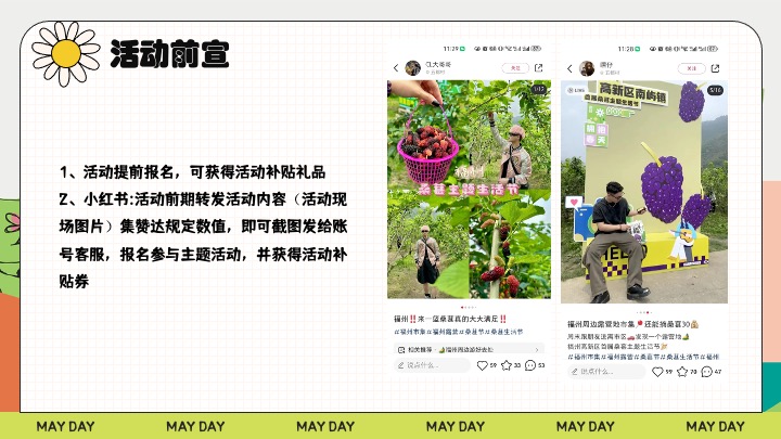 户外农田桑葚采摘美好生活节（与桑相遇·葚是欢喜主题）活动策划方案