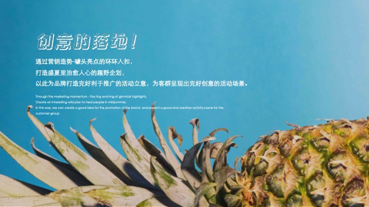 商业地产夏日逐浪嘉年华（夏日趣野企划书主题）活动策划方案