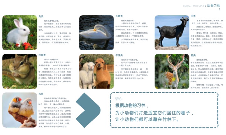 蜀南竹海萌宠乐园定位规划设计景观方案