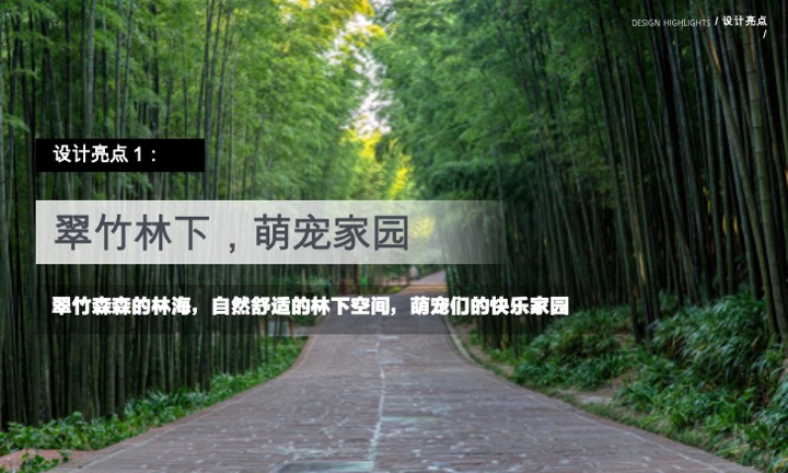 蜀南竹海萌宠乐园定位规划设计景观方案