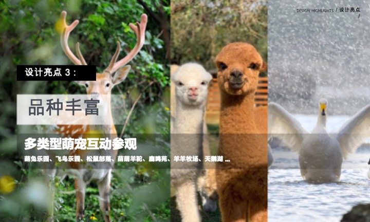 蜀南竹海萌宠乐园定位规划设计景观方案