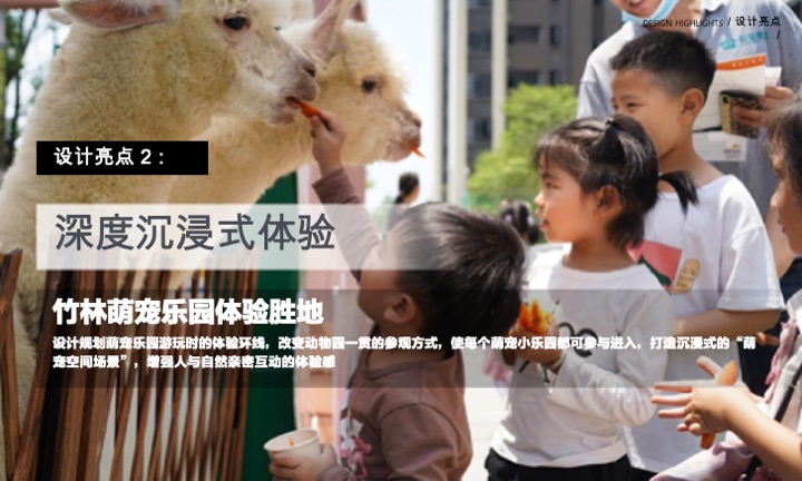 蜀南竹海萌宠乐园定位规划设计景观方案