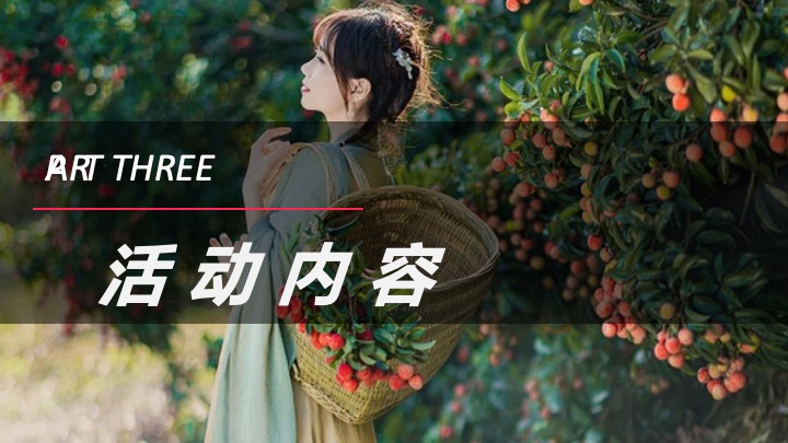 文旅景区夏季荔枝文化节（荔香古韵·梦回千年主题）活动策划方案