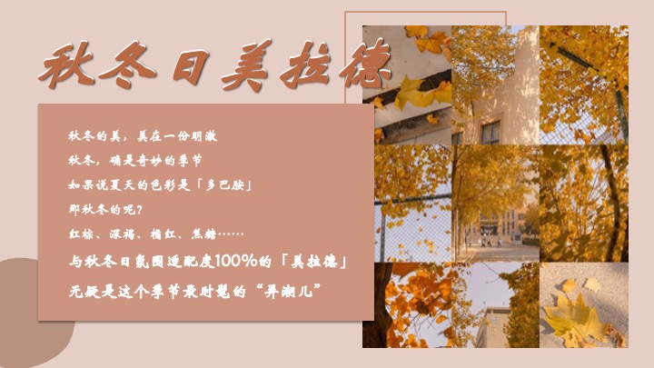 商业广场秋冬美拉德城市咖啡节主题活动策划方案