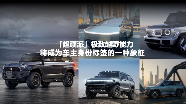 汽车猛士用户运营竞标方案